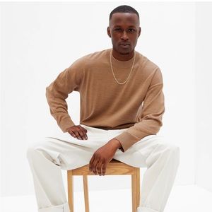 NWT Gap Men’s Merino Mockneck Sweater